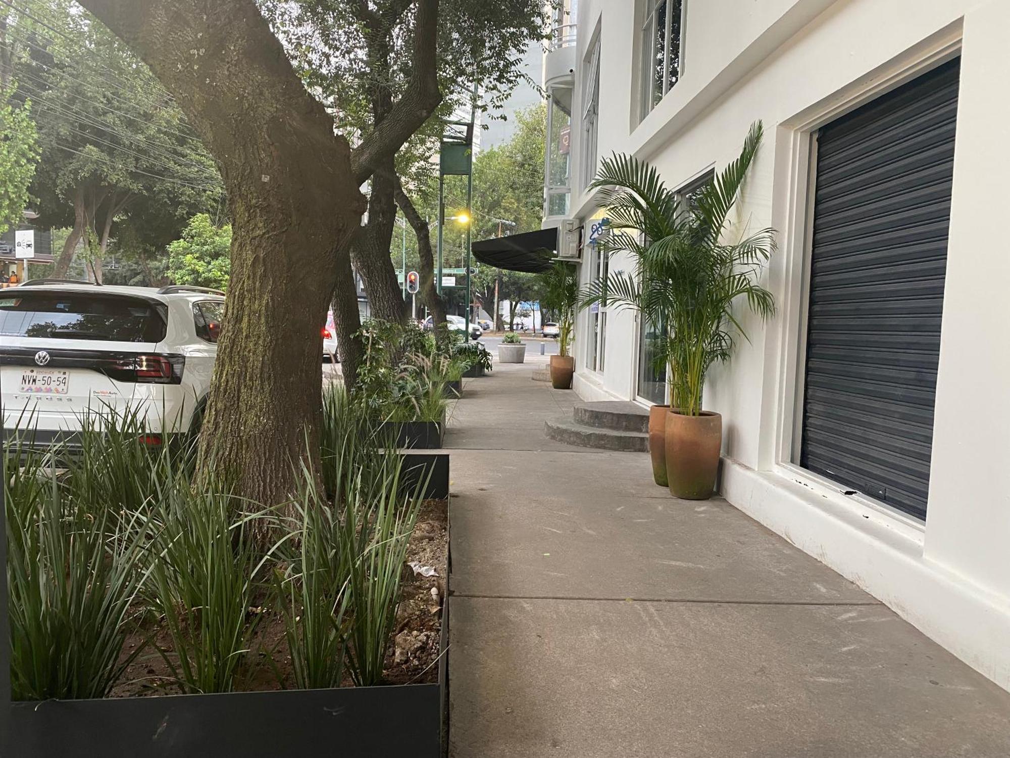 Casa Corp Boutique Suites In Condesa Мехіко Екстер'єр фото